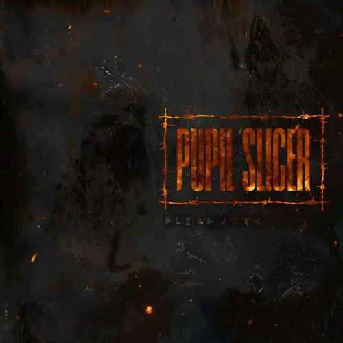 Pupil Slicer : Fleshwork